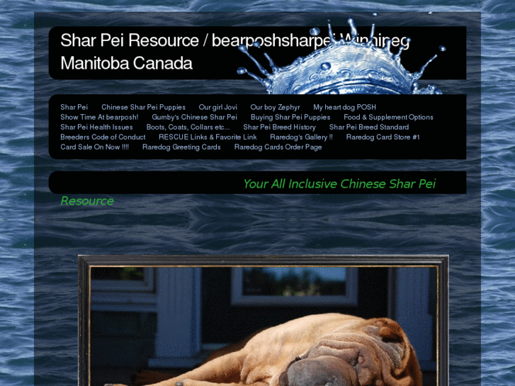 www.bearposhsharpei.com