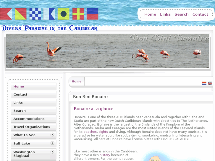 www.bonbinibonaire.com
