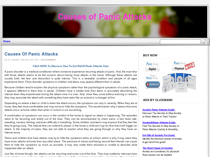 www.causes-of-panic-attacks.net