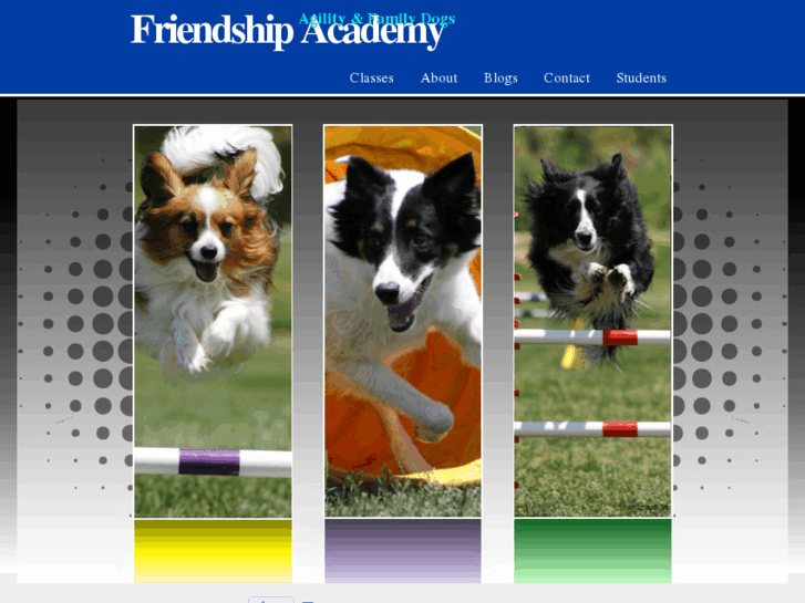 www.friendshipacademy.com