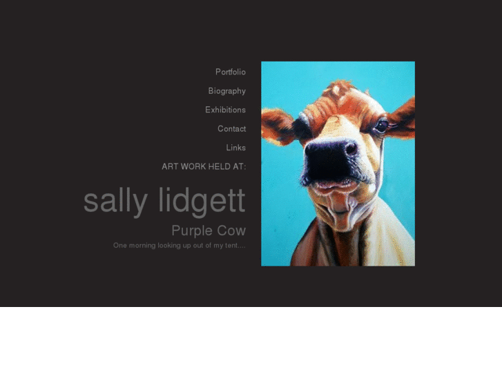 www.sallylidgett.com