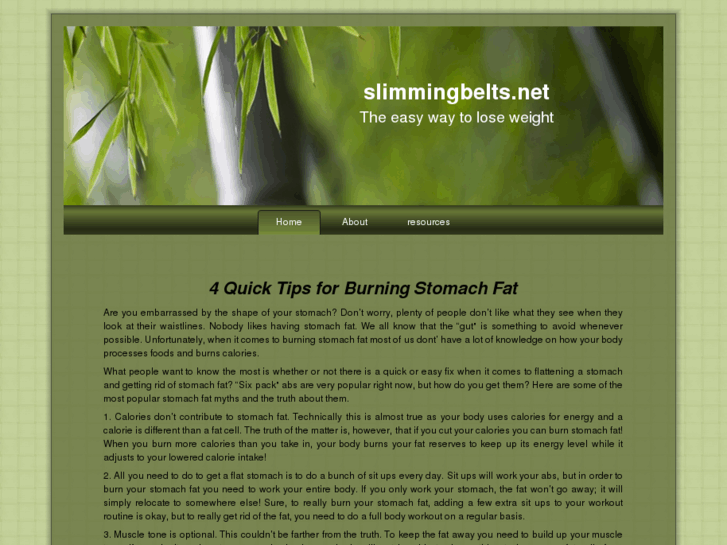 www.slimmingbelts.net