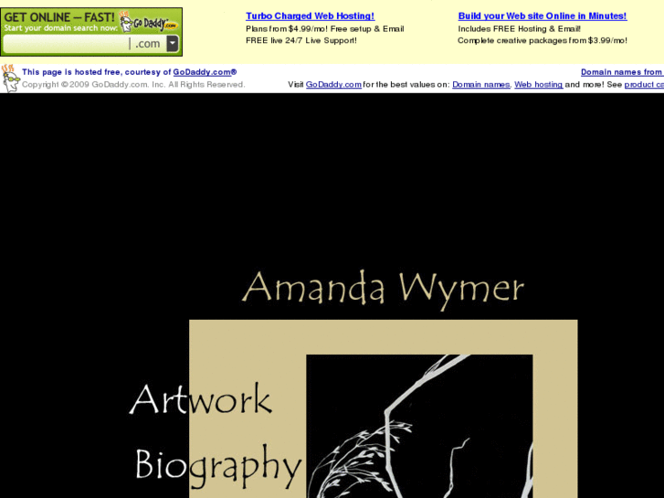 www.amandawymer.com