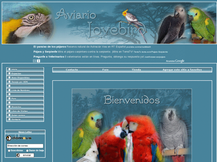 www.aviariolovebird.com