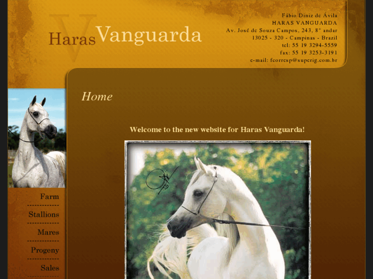 www.harasvanguarda.com