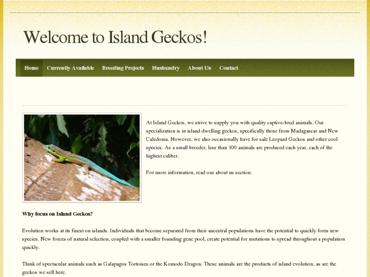 www.islandgeckos.com