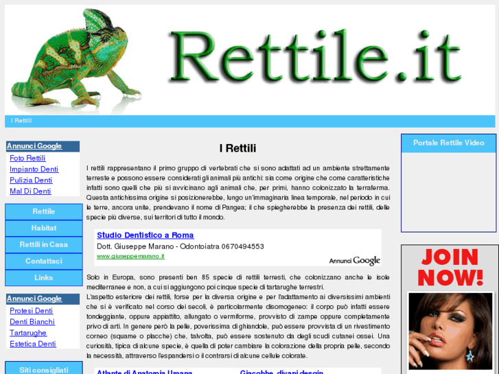 www.rettile.it