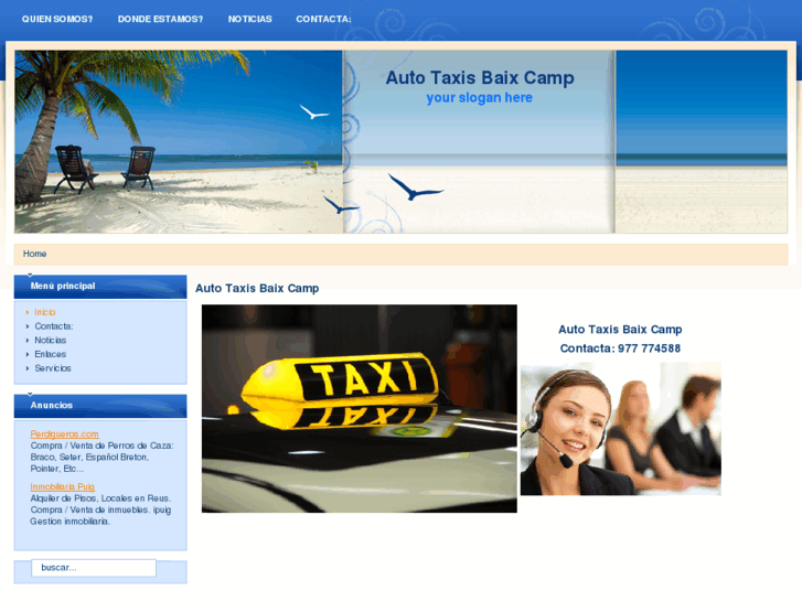 www.taxisbaixcamp.com