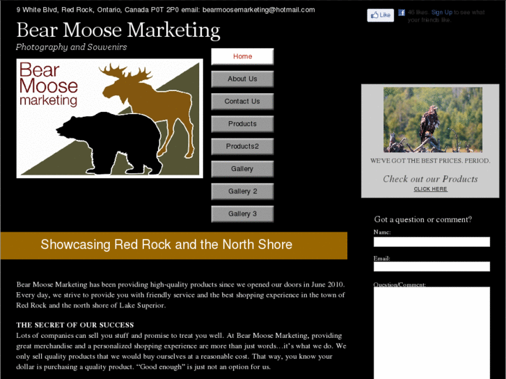 www.bearmoosemarketing.com