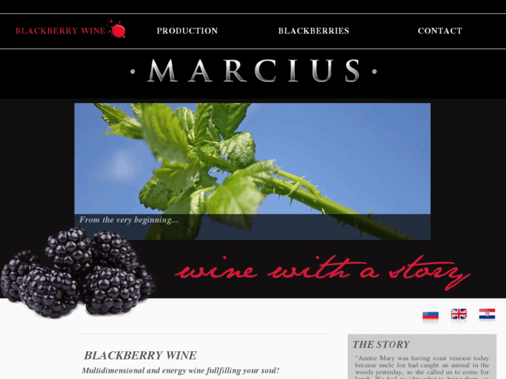 www.blackberry-wine.com
