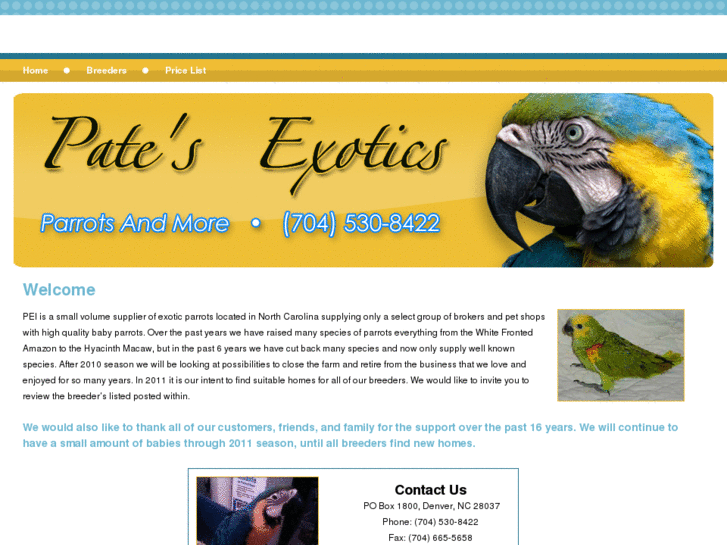 www.pateexoticparrots.com