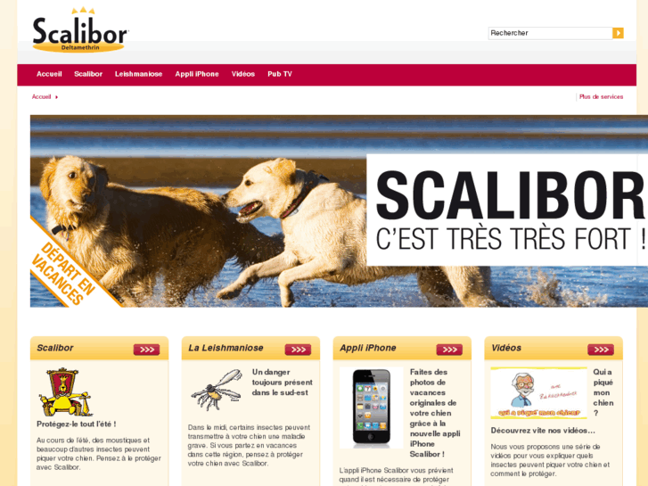 www.scalibor.fr