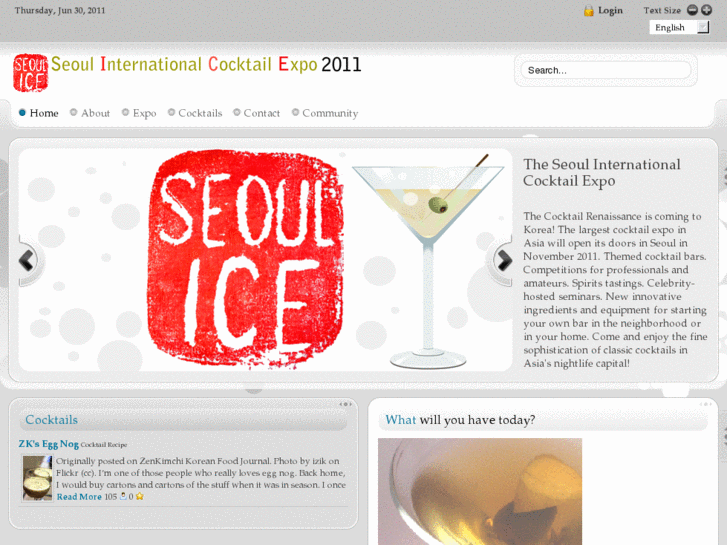 www.seoulice.com