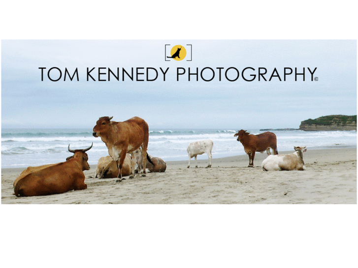 www.tomkennedyphotography.com