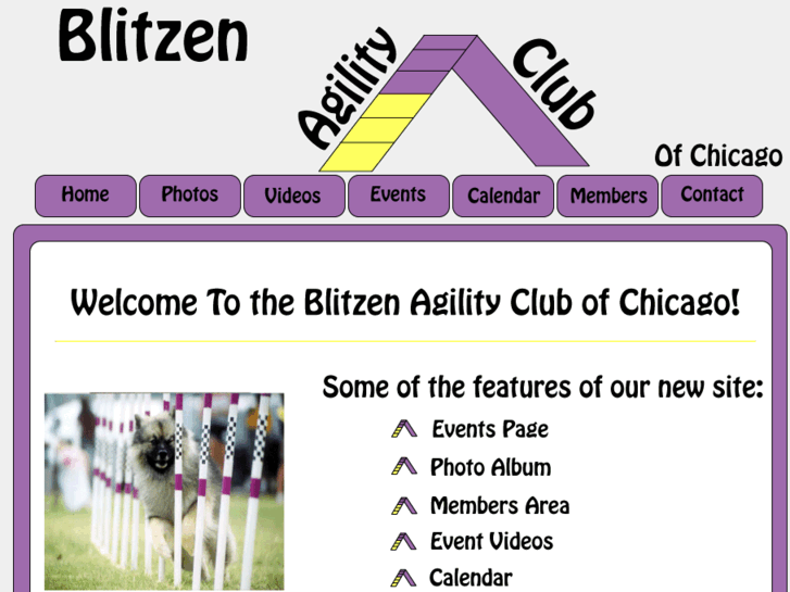 www.blitzenagilityclub.com