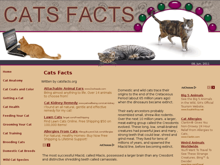 www.catsfacts.org