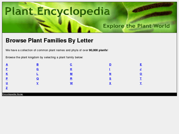 www.plantencyclopedia.org