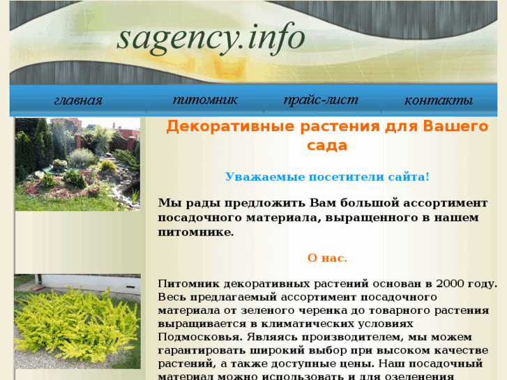 www.sagency.info