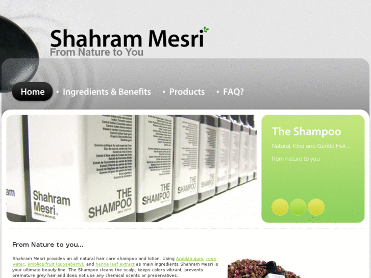 www.shahram-mesri.com