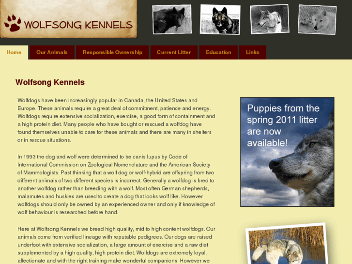 www.wolfsongkennels.com