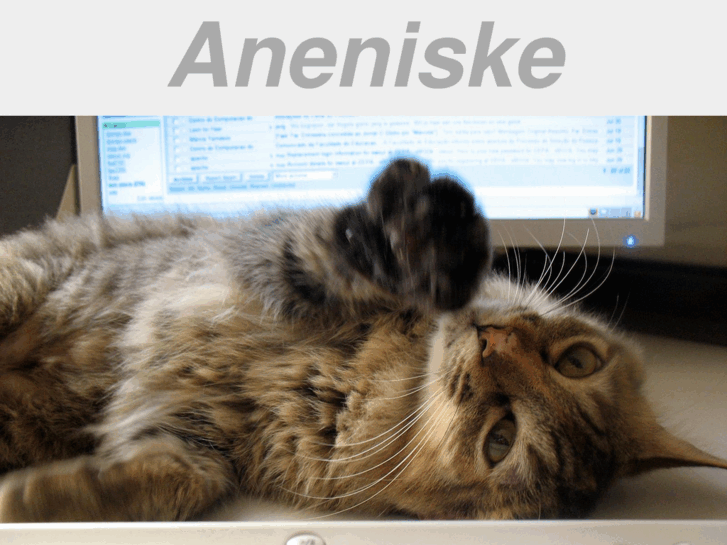 www.aneniske.org