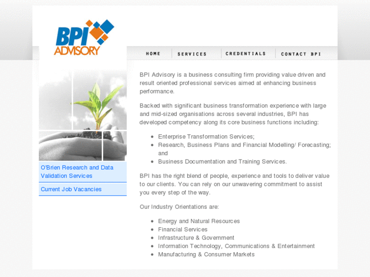 www.bpiadvisory.com