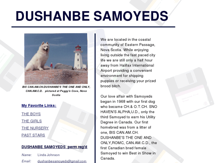 www.dushanbesamoyeds.com