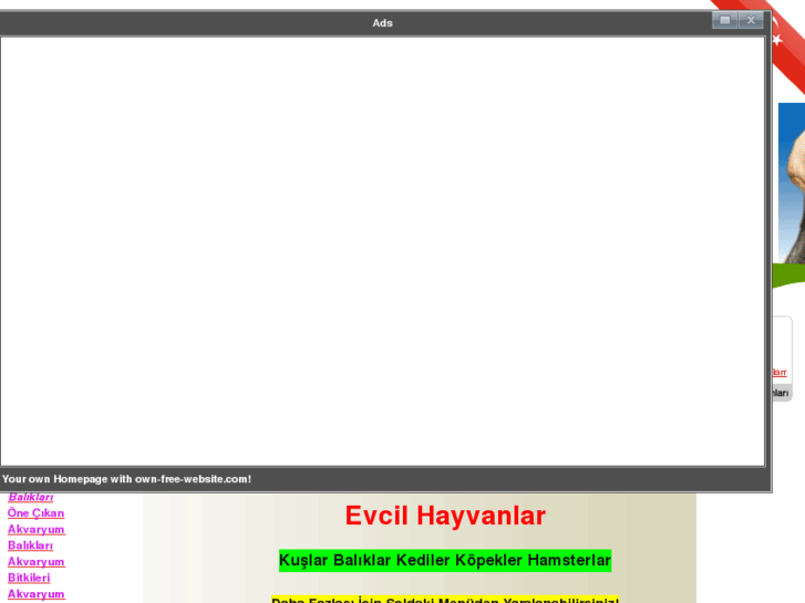 www.evcilhayvanlar2.tr.gg