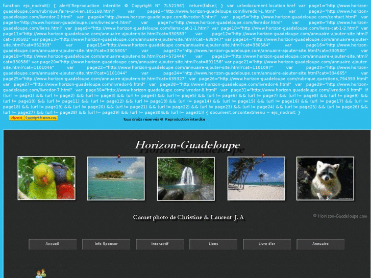 www.horizon-guadeloupe.com