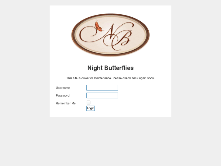 www.nightbutterflies.com