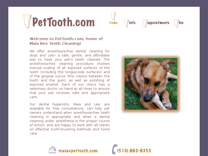 www.pettooth.com