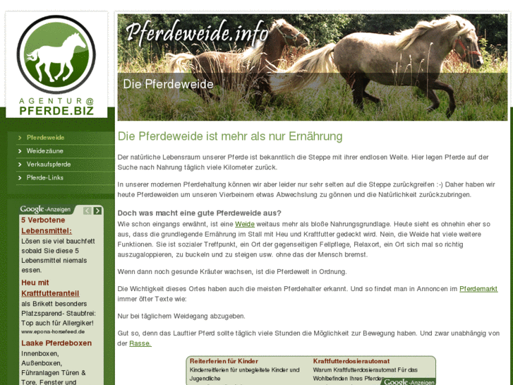 www.pferdeweide.info