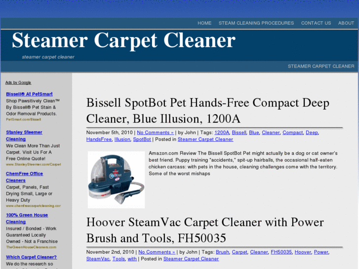 www.steamercarpetcleaner.org