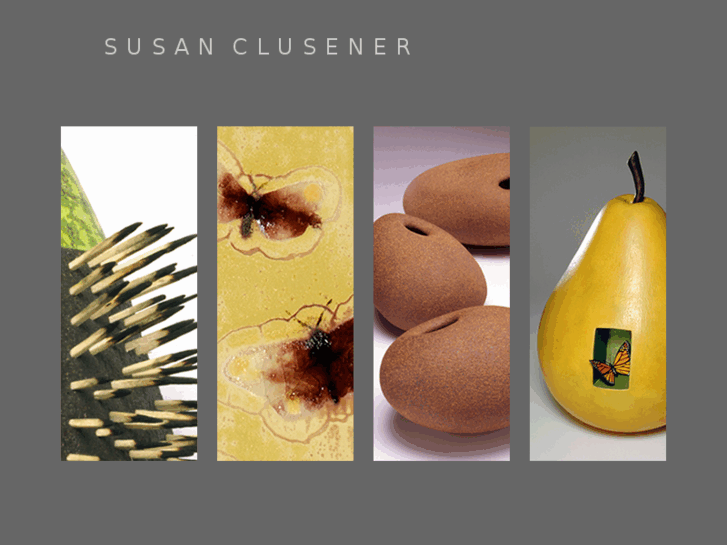www.susanclusener.com