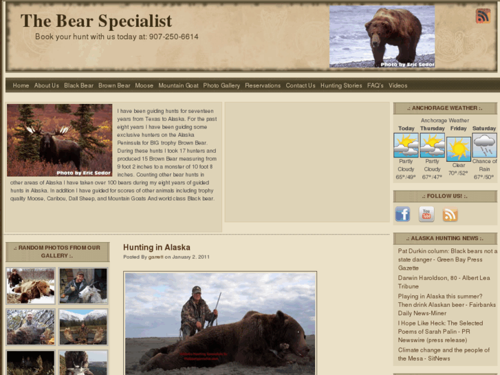 www.thebearspecialist.com