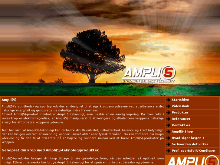 www.ampli5.dk