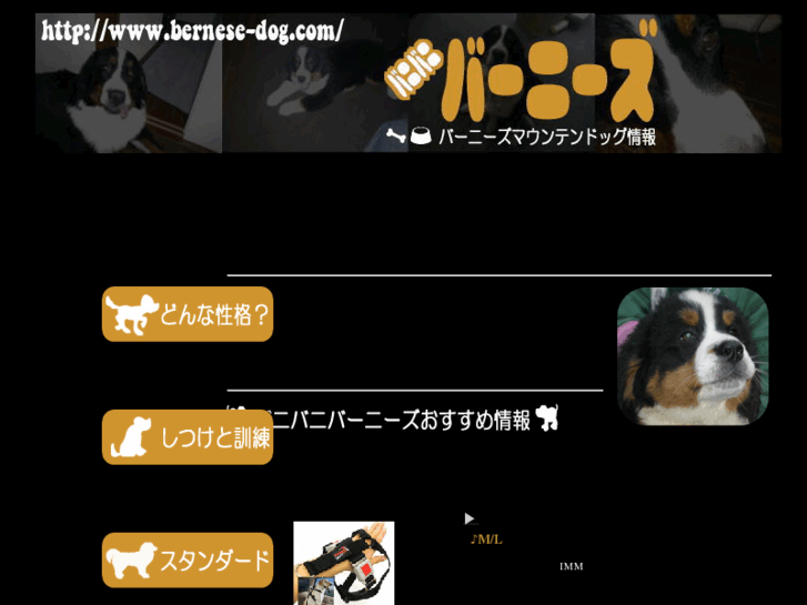 www.bernese-dog.com