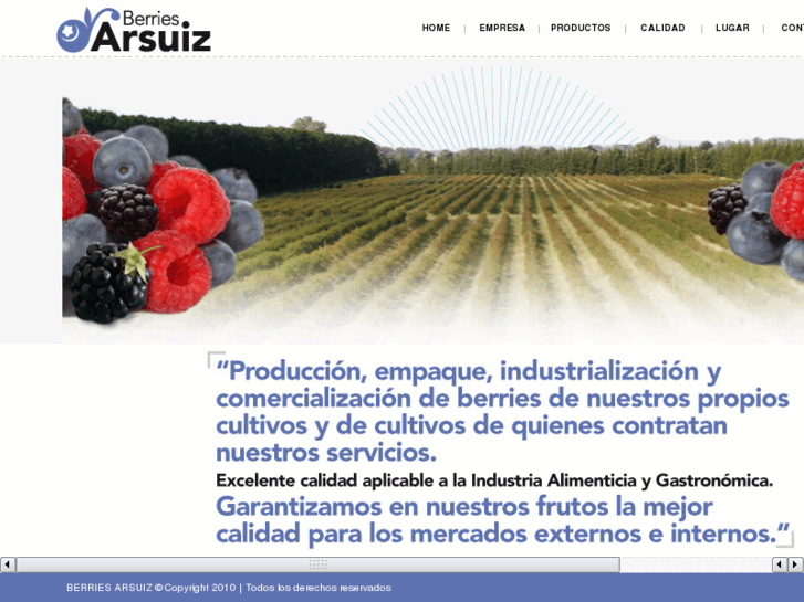 www.berriesarsuiz.com