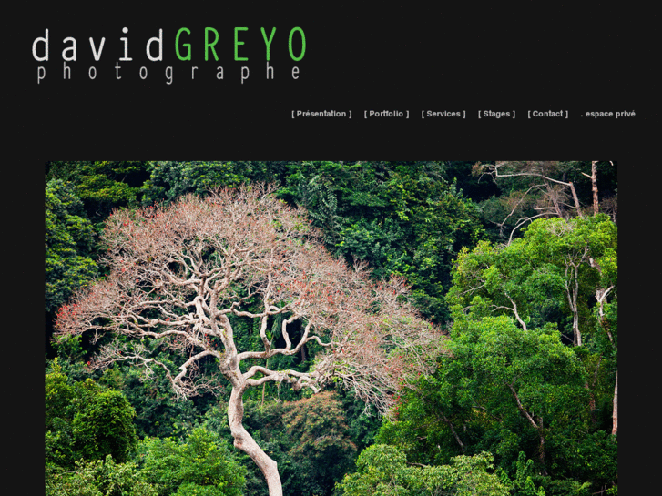 www.davidgreyo.com