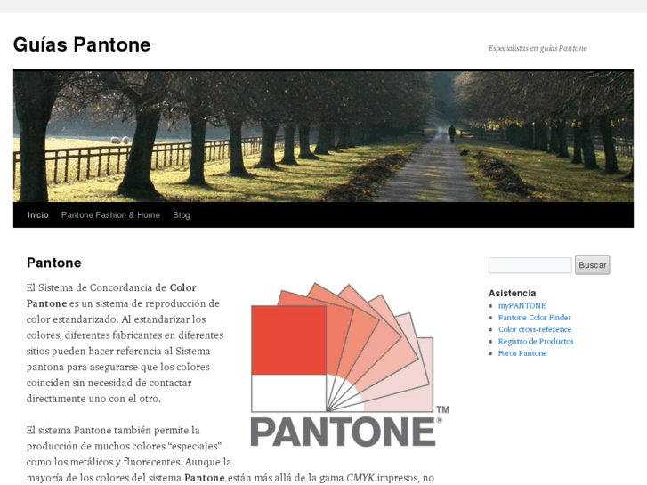 www.guiaspantone.com