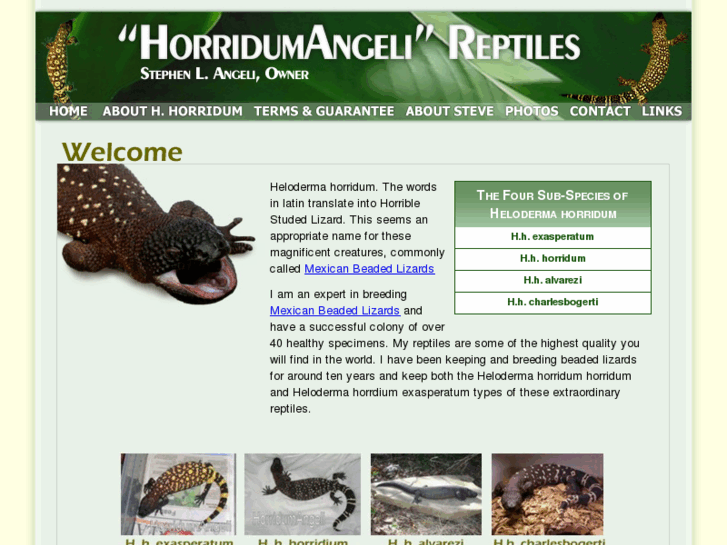 www.helodermahorridum.com