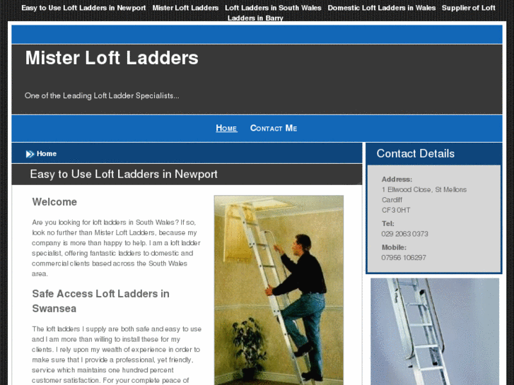 www.misterloftladderswales.com