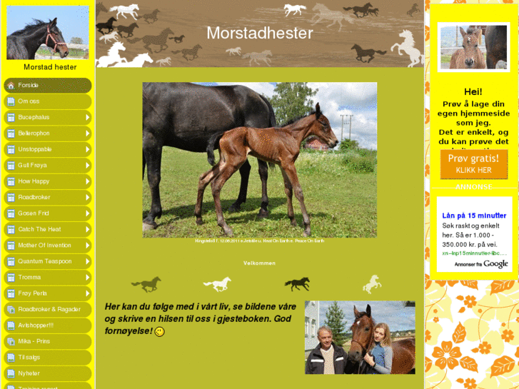 www.morstadhester.com