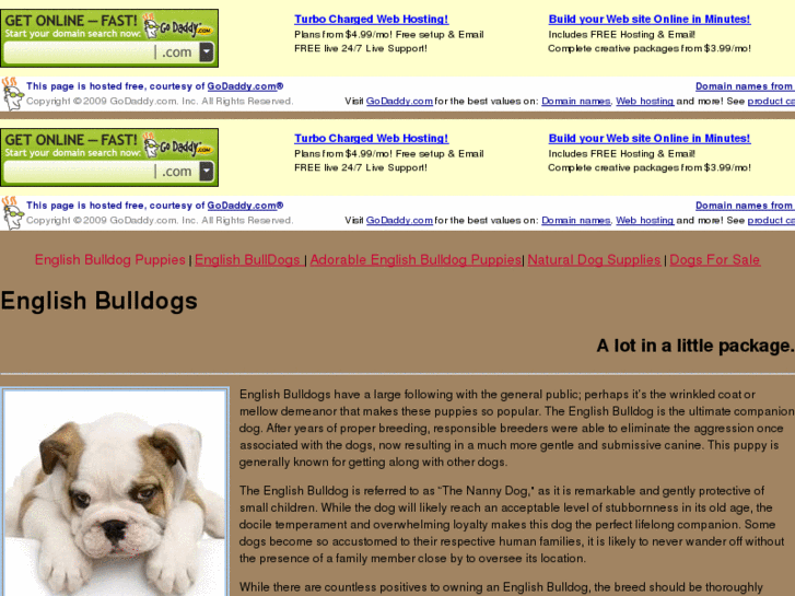 www.myenglishbulldogs.org