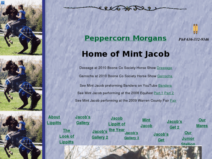 www.peppercornmorgans.com