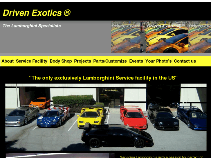 www.drivenexotics.com