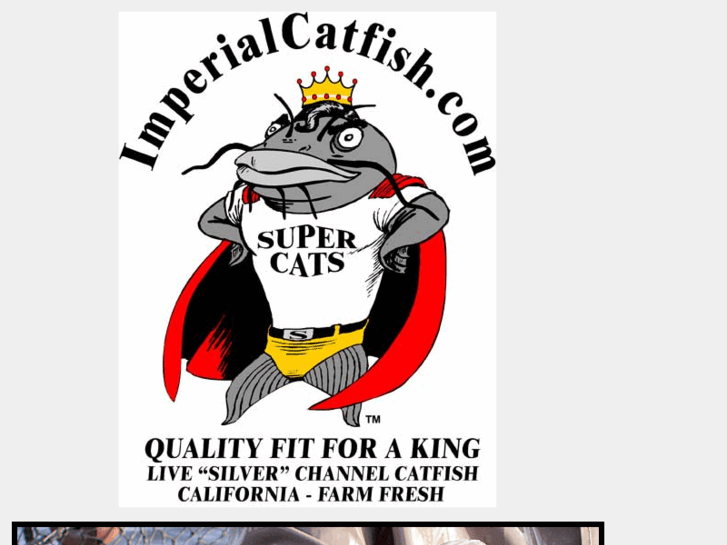 www.imperialcatfish.com