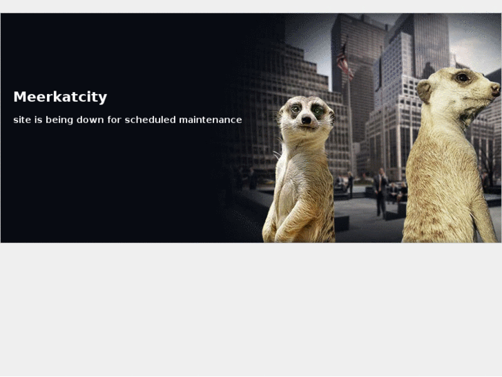 www.meerkatcity.com