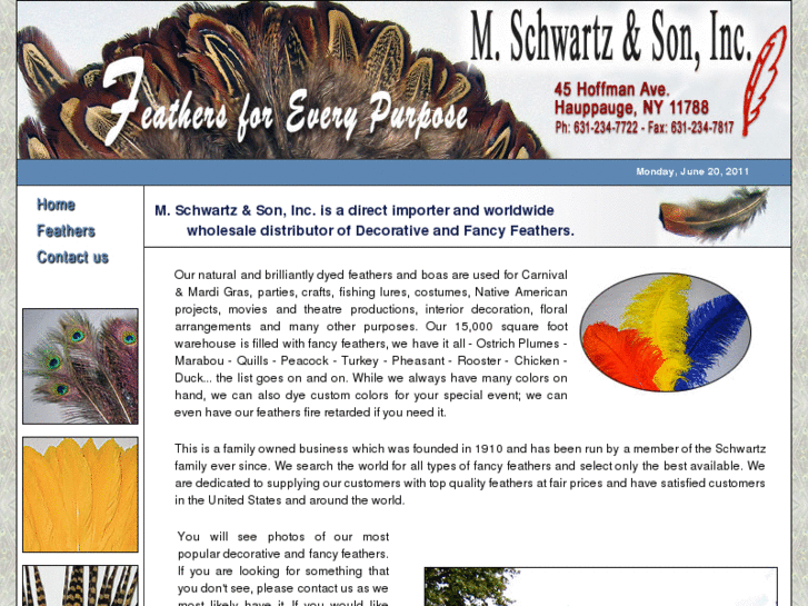 www.mschwartzfeather.com