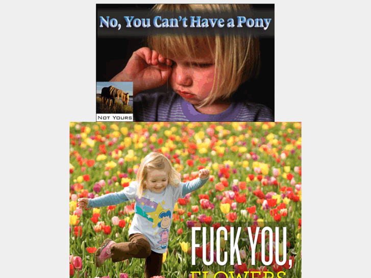www.warmfuzzy.net